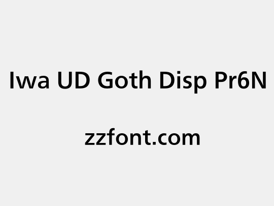 Iwa UD Goth Disp Pr6N