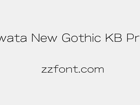 Iwata New Gothic KB Pro