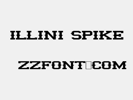 illini spike